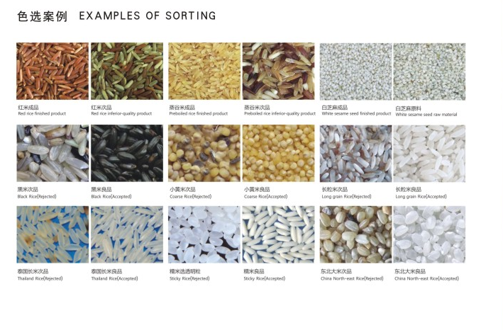 Intelligent CCD Rice Color Sorter Machine 2.0~4.5t/H Production Capacity