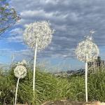 Outdoor Metal Dandelion Garden Sculpture Art Led Motif Light Decorative