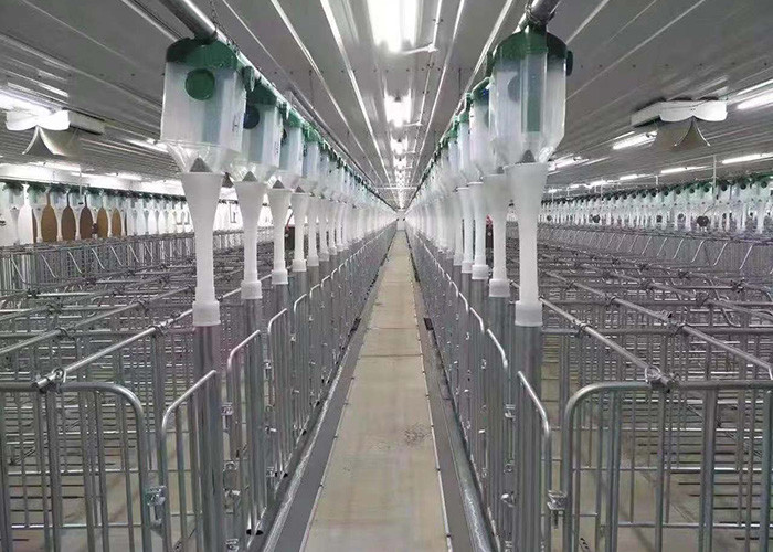 HI HOPE Swine Breeding Equipment Automatic Drinker Gestation Pens For Sows