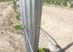 Customized Size Agriculture Fence Posts 8ft Height In Iron Pallet Packing