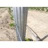 Buy cheap Grape Trellis Post 275gr HDG 54x30mm Grape Plantation Steel Grape Post from wholesalers