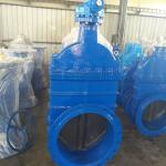 Rubber seated gate valve
