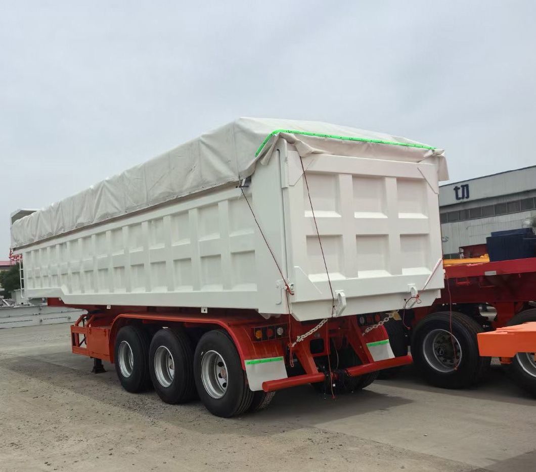 Multi Funtion Cargo Low Bed LPG Fuel Oil Tank Tipper Dumper
