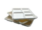 School Bagasse Biodegradable Food Trays 260x210x24mm