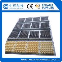 Buy cheap Semi Auto Egg Tray Packaging Machine , Reciprocating Fruit Tray Machine product