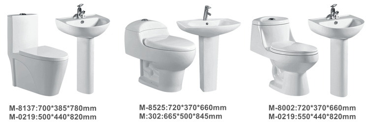 Sanitary Ware One Piece Bathroom Toilets White Ceramic Manual Button