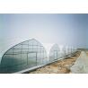 Buy cheap Section 4m Polyethylene Film Greenhouse , Single Span Greenhouse For Vegetable from wholesalers