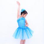 Diagonal Neckline Glitter Floral Tutu Dress Blue Little Girls Dance Clothes