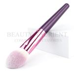Multifunctional Powder Makeup Brush Compact Blush Brush Daily Makeup