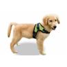 Buy cheap Reflective Nylon Dog Harness , Adjustable Dog Harness Pet Vest With Soft Handle from wholesalers