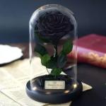 Wholesale Price beauty and the beast roses preserved roses in glass dome Fresh