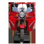 Motorized 150CC 250W Three Wheel Cargo Motorcycle Open Body Type