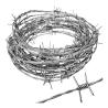 Buy cheap Galvanized/PVC Coated Razor Barbed Wire Mesh Fence for Prison Security at Affordable from wholesalers