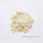 Water Absorption Viscoelasticity Nx6.25 Dried Wheat Gluten