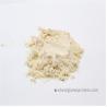 Buy cheap Water Absorption Viscoelasticity Nx6.25 Dried Wheat Gluten from wholesalers