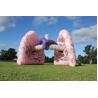 Buy cheap Giant Inflatable Lung Model Advertising For Medical Exhibition Events from wholesalers