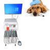 Buy cheap Vet Surgical Dental Treatment Unit With Computer And Build In Air Compressor from wholesalers