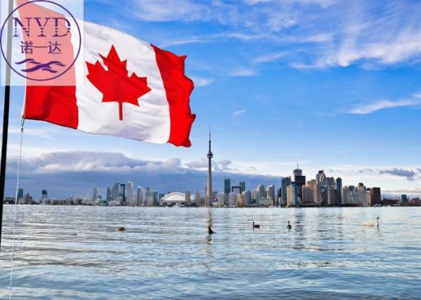 Buy cheap FBA Amazon Express Cargo Forwarding / Shipping Service From China To Canada from wholesalers