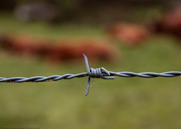 Buy cheap hot dip Galvanized Steel Double Twisted Farm Barbed Wire Rolls from wholesalers