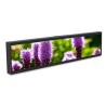 Buy cheap Wall Mount Ultra Wide Stretched Bar LCD Advertising Display 23.1 Inch from wholesalers