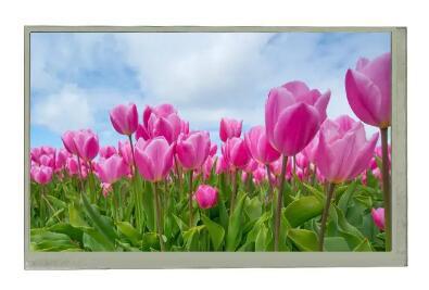 Buy cheap At070tn83 V.1 800x480 7 Inch Display With Touch Screen Color LCD Panels 300Nits 40Pins from wholesalers