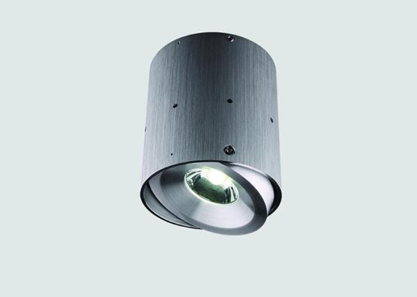 IP54 Flush Mount Outdoor LED Ceiling Lights , Recessed Adjustable Led Downlight