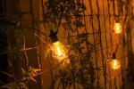 Festoon Length Selectable 2700K Warm White Outdoor LED Christmas Light IP65