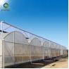 Buy cheap 33ft Pe Elasticity Elliptical Plastic Film Greenhouse from wholesalers