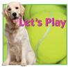 Buy cheap Rubber Ball Dog Toys manufcturer from wholesalers