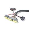 Buy cheap Customized Auto Engine Wiring Harness Cable Assembly for OEM Color in America Market from wholesalers