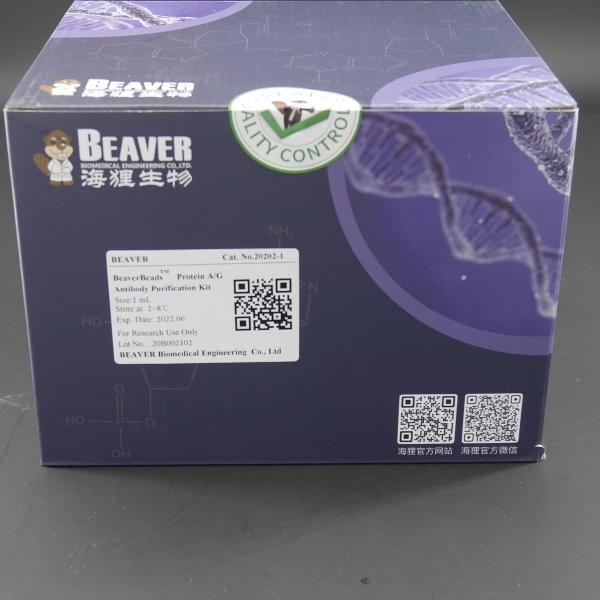 Buy cheap 2μm 30 mg / mL 1 mL Protein A/G Antibody Purification Kit For Protein Purification from wholesalers