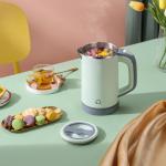 600W Stainless Steel Electric Kettle, Food-Grade SS, Anti-Scalding, Automatic
