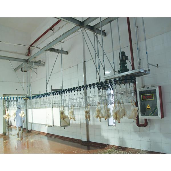 Electrical Stunning Poultry Slaughterhouse Equipment Stainless Steel 304 In Milk