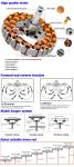 42Inch 35w Dc Motor Metal Blade Ceiling Fan For Workout Room Home Gym
