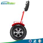 2 Wheel Electric Chariot Scooter , Self Balancing Electric Segway Scooter with