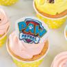Buy cheap PAW Patrol Edible Decorations Sugar Cake Toppers In Bakery Field from wholesalers