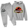 Buy cheap Children'S Outfit Sets Movie Anime Hoodie Boys And Girls Dinosaur Print Hoodie Set from wholesalers