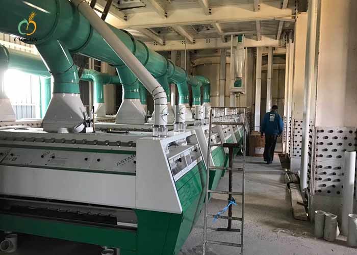 Wholesale ODM China Maize Flour Milling Machine/Maize Roller Mill/Wheat Flour Mill Price
