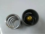 100010137 Temperature Control Valve