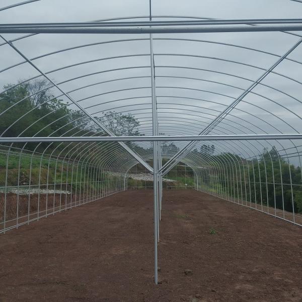 Buy cheap Single Span Greenhouse Tunnel Plastic Film Covering Flower Vegetable Support from wholesalers