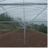 Buy cheap Single Span Greenhouse Tunnel Plastic Film Covering Flower Vegetable Support from wholesalers