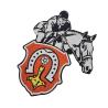 Buy cheap PMS Colors 100 Embroidered Sports Team Patches Sew On Backing from wholesalers