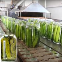 Buy cheap High Efficiency Canned Vegetable Production Line For Cucumber product