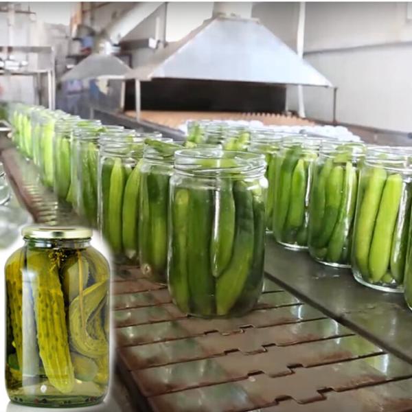 Buy cheap High Efficiency Canned Vegetable Production Line For Cucumber from wholesalers