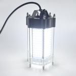 LED 5050 40W SS316 Submersible Fishing Lights