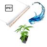 Buy cheap 300w Led Grow Light Bar Replacing HPS 4'*4' Foot Print Hanging Installation from wholesalers