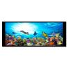 Buy cheap 6.8 Inch Hight-Brightness TFT LCD Display LVDS Interface from wholesalers