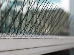 Birdbarrier Stainless Steel Bird Spikes Anti