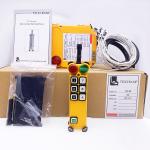 F24-6D Industrial Overhead Crane Telecrane Wireless Remote Control