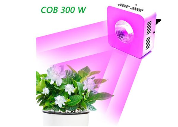 Buy cheap 600mA COB Full Spectrum LED Grow Lights 300 W Dustproof 50,000 Hours Lifespan from wholesalers